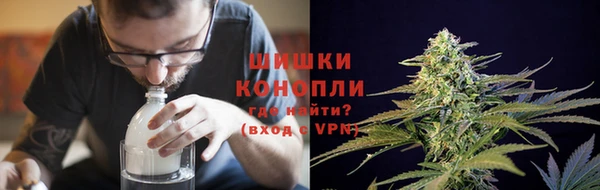 гидропоника Белокуриха
