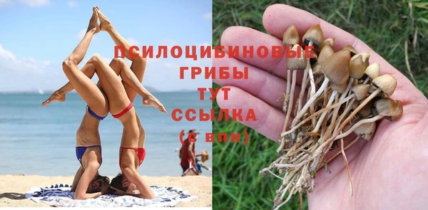 гашишное масло Беломорск