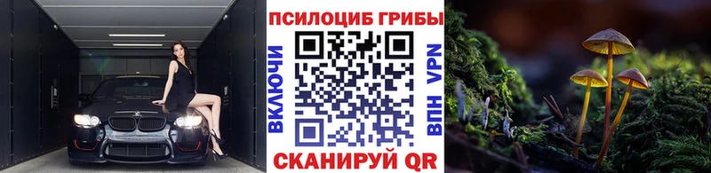 Галлюциногенные грибы Magic Shrooms  Бугульма 